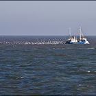 Krabbenkutter auf der Nordsee