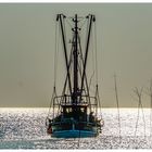 Krabbenkutter auf der Nordsee 