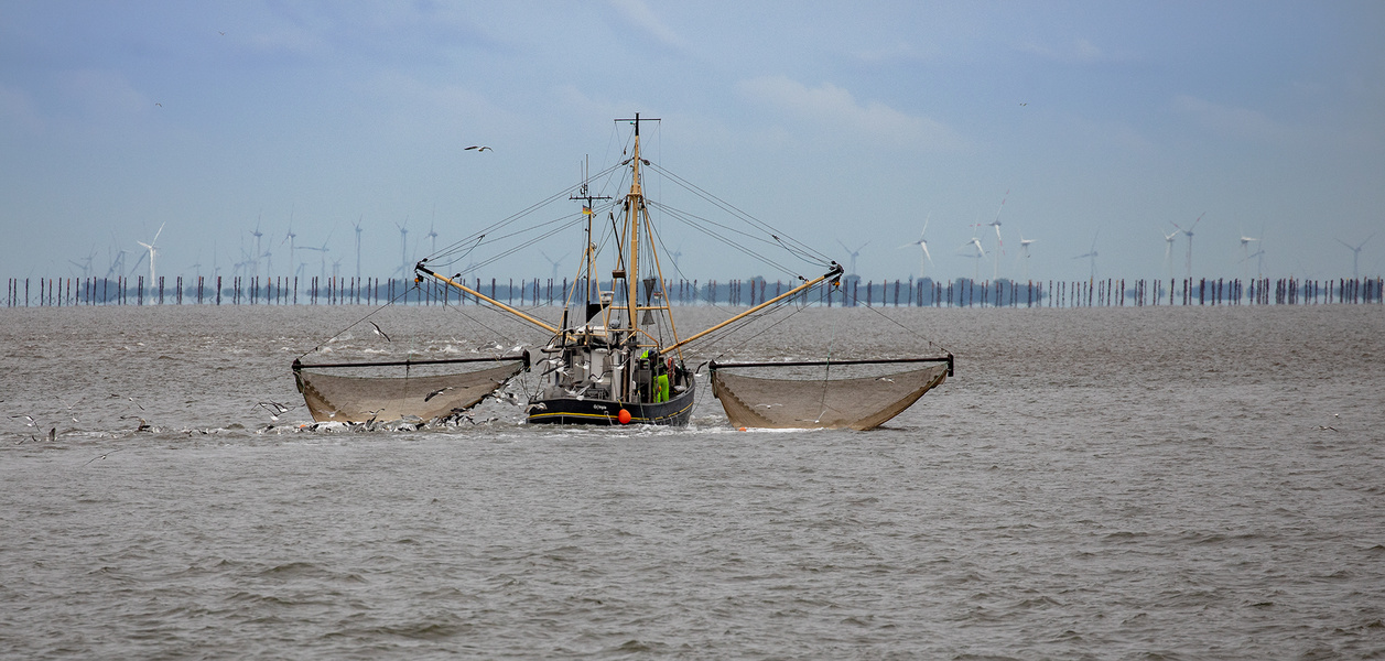 Krabbenkutter bei Büsum im HG Saatmuschelzuchtanlgen 001 eing