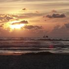 Krabbenkutter beim Fischfang im Sonnenuntergang am Vejers Strand in Dänemark