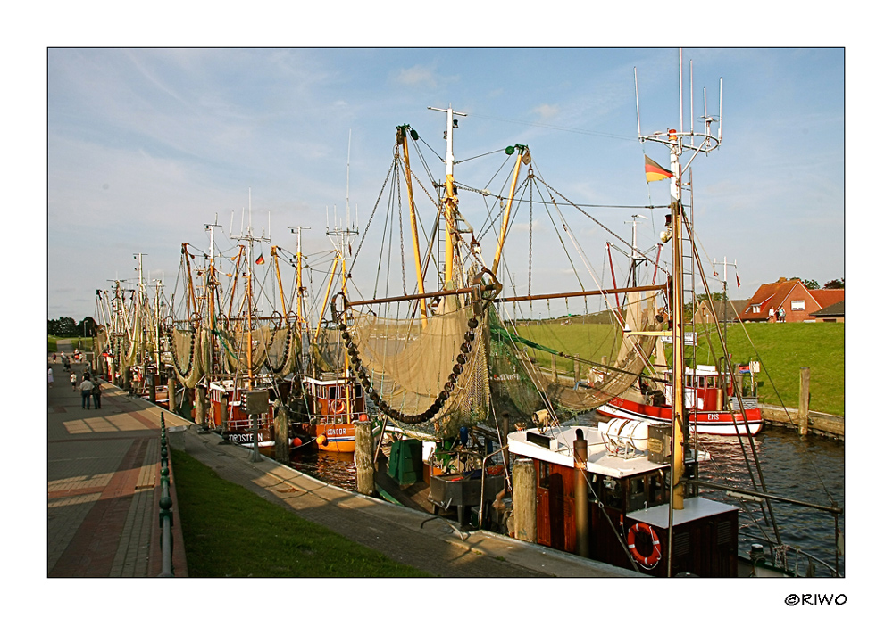 Krabbenkutter im Abendlicht im Hafen von Greetsiel.....