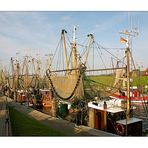 Krabbenkutter im Abendlicht im Hafen von Greetsiel.....