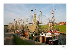 Krabbenkutter im Abendlicht im Hafen von Greetsiel.....