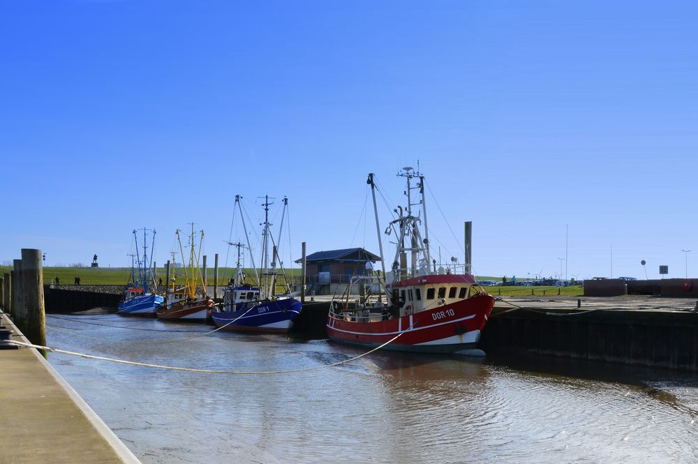 Krabbenkutter im Dorumer Hafen