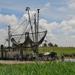 Krabbenkutter im Grünen