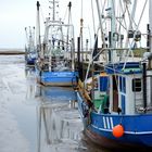 Krabbenkutter im Hafen