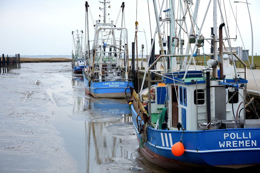 Krabbenkutter im Hafen