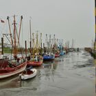 Krabbenkutter im Hafen Dorum