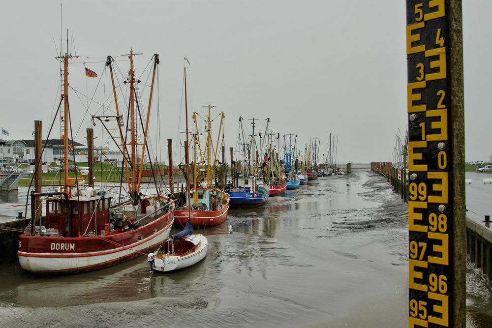 Krabbenkutter im Hafen Dorum