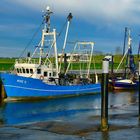 Krabbenkutter im Hafen von Wremen