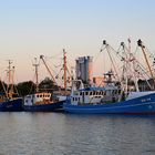 Krabbenkutter im Husumer Außenhafen