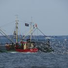 Krabbenkutter im Wattenmeer