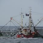 Krabbenkutter im Wattenmeer