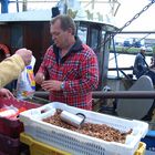 Krabbenkutter in Büsum !