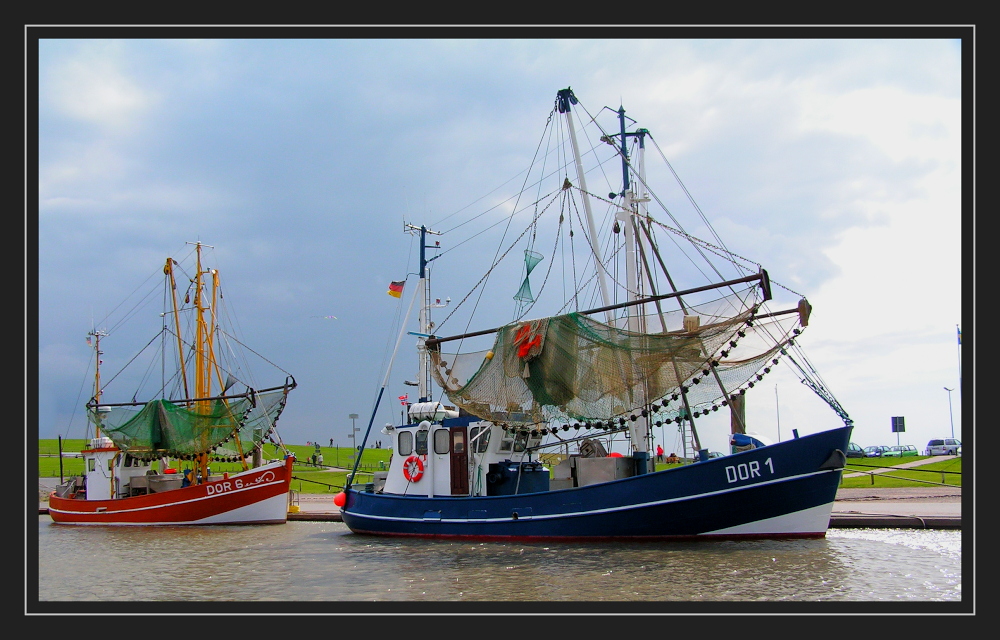 Krabbenkutter in Dorum