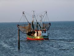 Krabbenkutter Nordsee