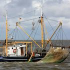 Krabbenkutter SD 31 UTHOLM vor Cuxhaven