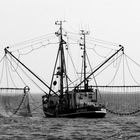 Krabbenkutter vor Borkum