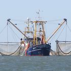 Krabbenkutter vor Borkum