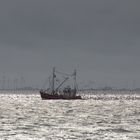 Krabbenkutter vor Büsum