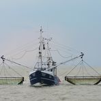 Krabbenkutter vor Büsum auf Fang.....