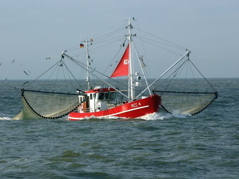 Krabbenkutter vor Büsum