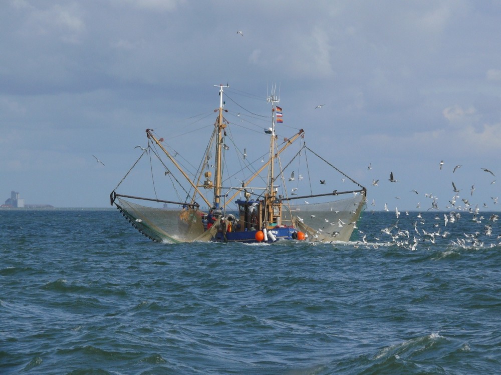 Krabbenkutter vor Büsum