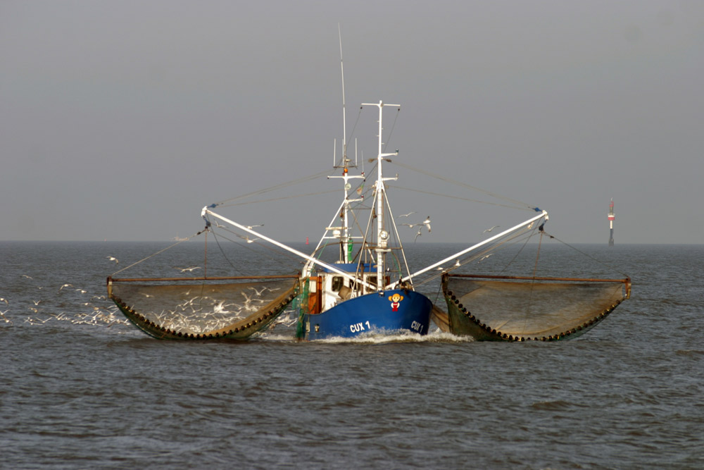 Krabbenkutter vor Cuxhaven