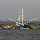 Krabbenkutter vor Cuxhaven