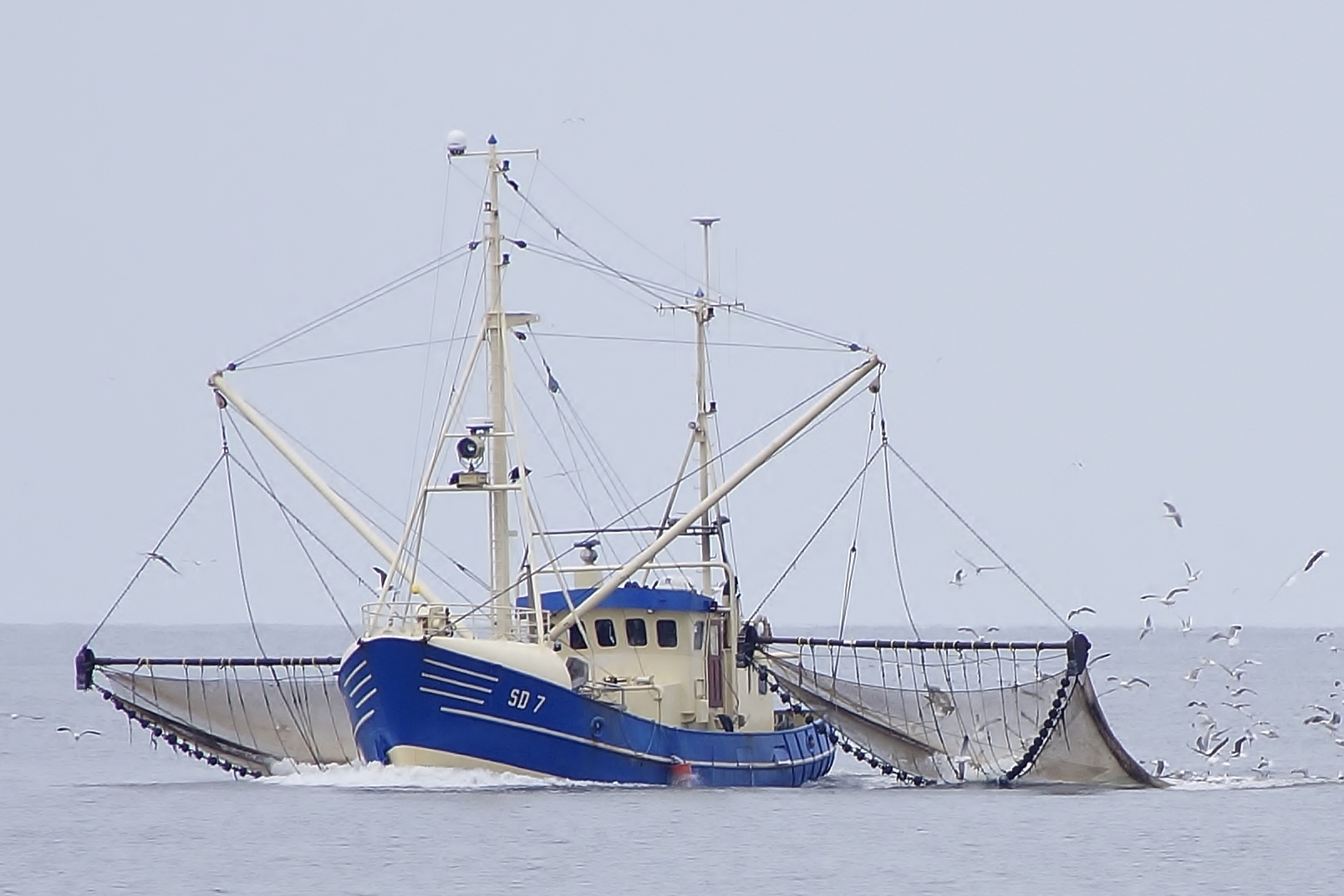 Krabbenkutter vor Cuxhaven