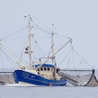 Krabbenkutter vor Cuxhaven