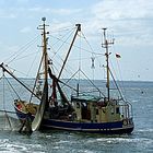 Krabbenkutter vor der Hallig Langeneß