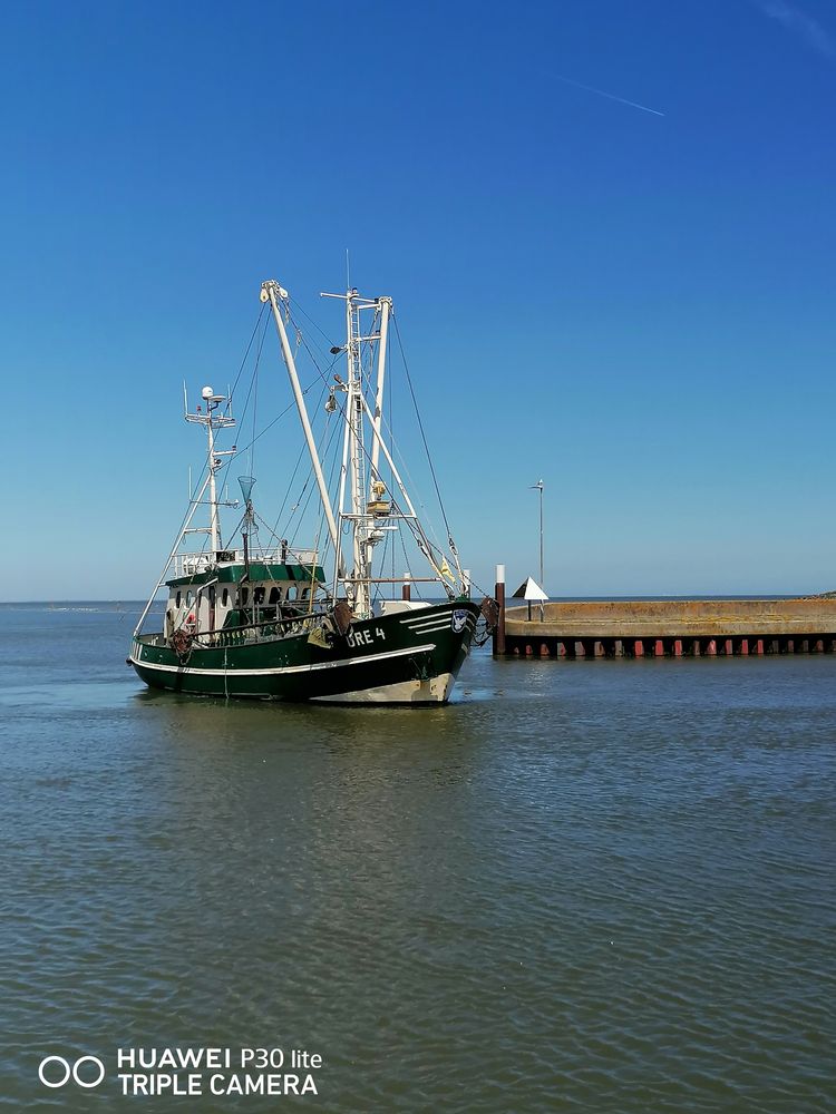 Krabbenkutter vor Greetsiel/Ostfriesland