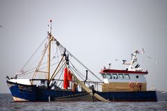 Krabbenkutter vor Katwijk