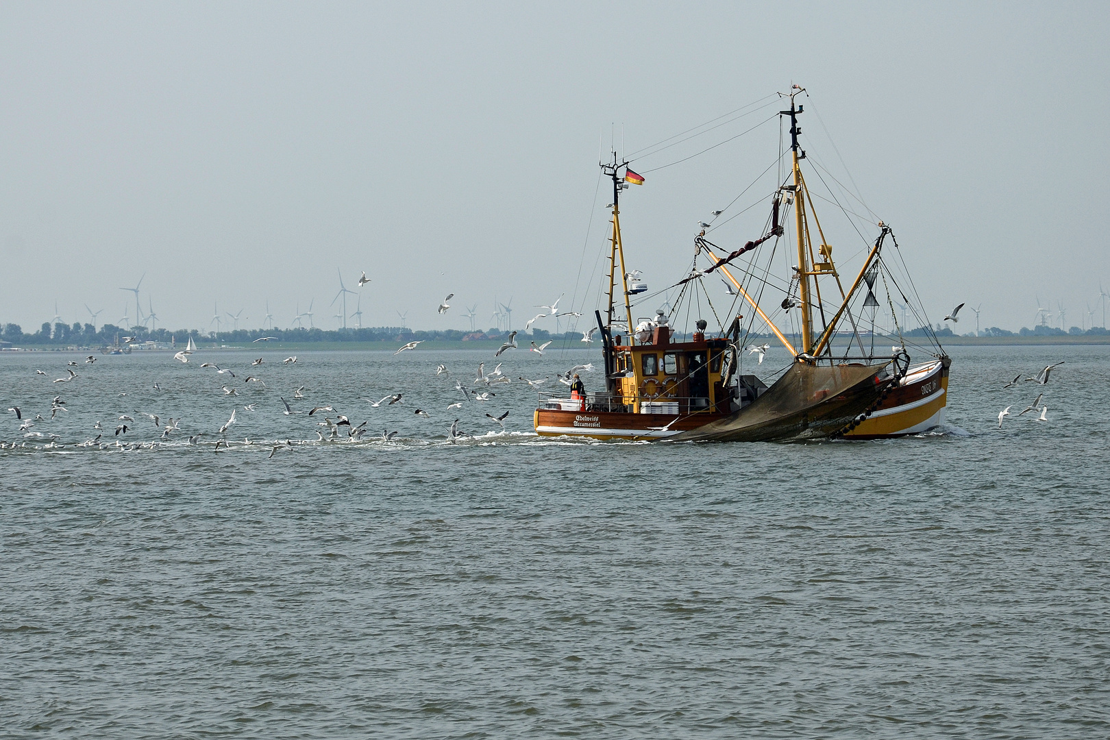 Krabbenkutter vor Langeoog