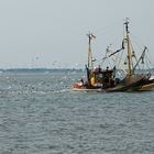 Krabbenkutter vor Langeoog