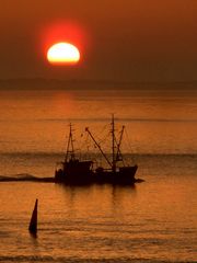 Krabbenkutter vor Norderney