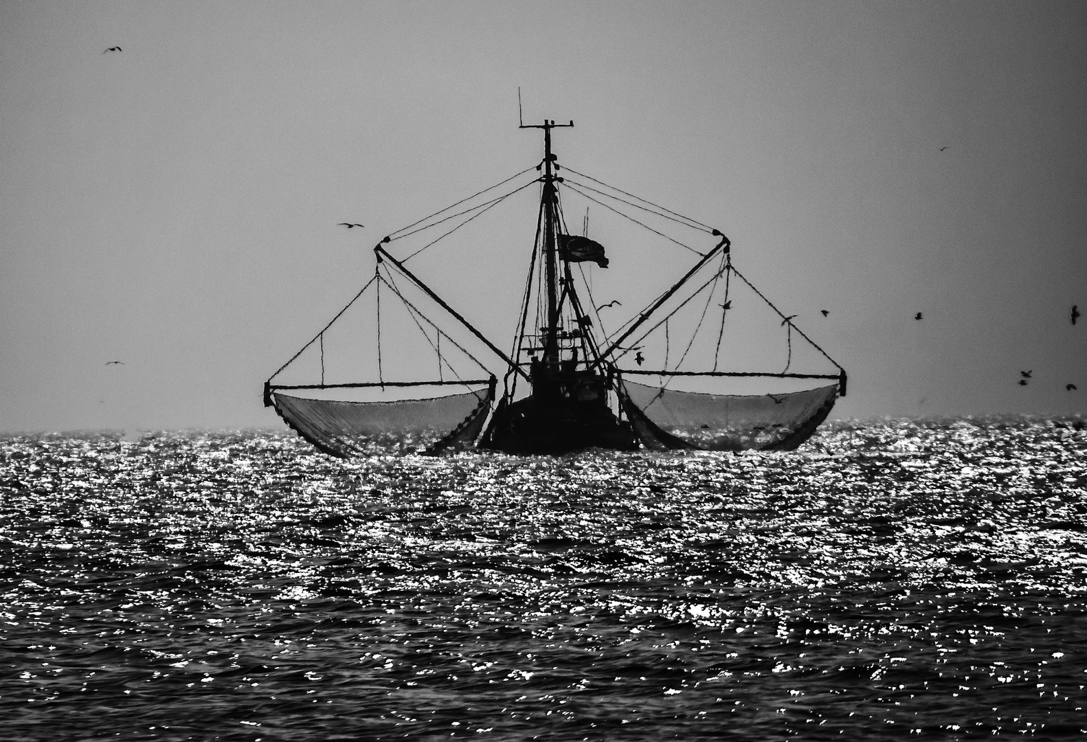 Krabbenkutter vor Norderney