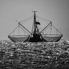 Krabbenkutter vor Norderney