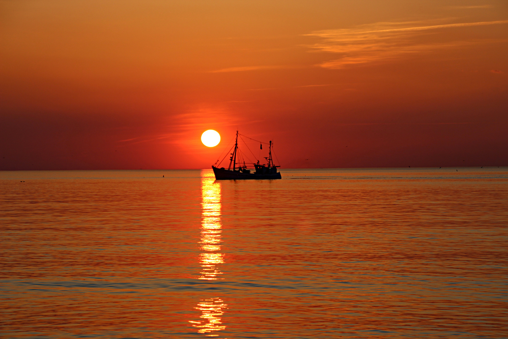 Krabbenkutter vor Sylt