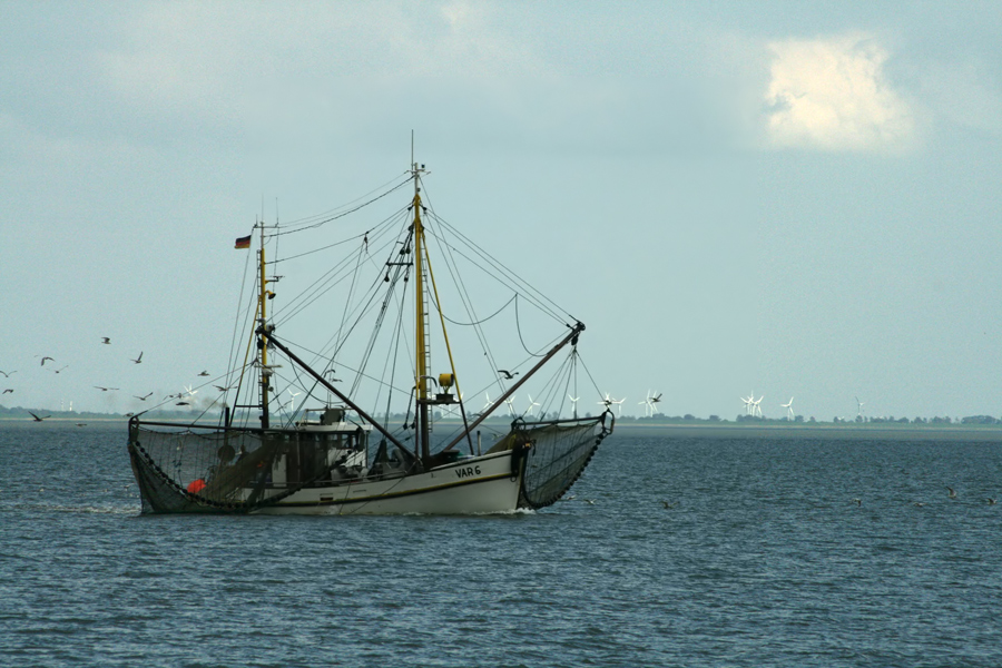 Krabbenkutter vor Wilhelmshaven