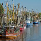 Krabbenkutterflotte in Greetsiel