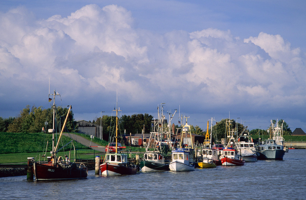 Krabbenkutterhafen Friedrichskoog