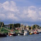 Krabbenkutterhafen Friedrichskoog