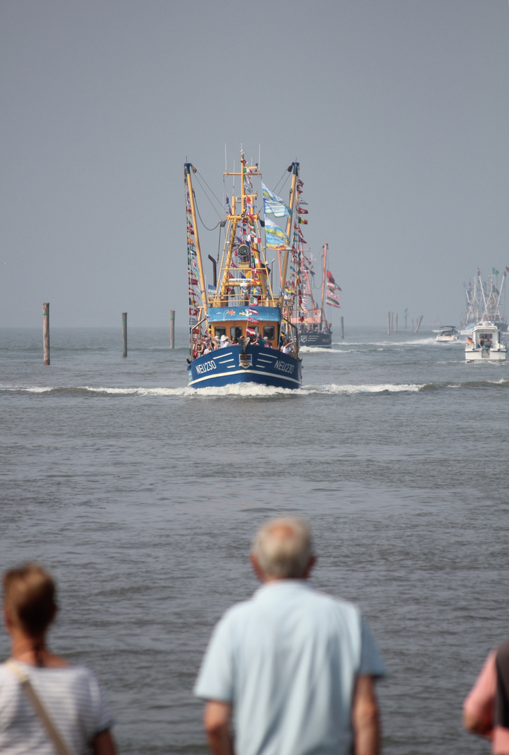 Krabbenkutterrennen, Neuharlingersiel