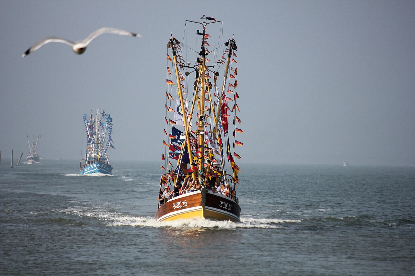 Krabbenkutterrennen, Neuharlingersiel