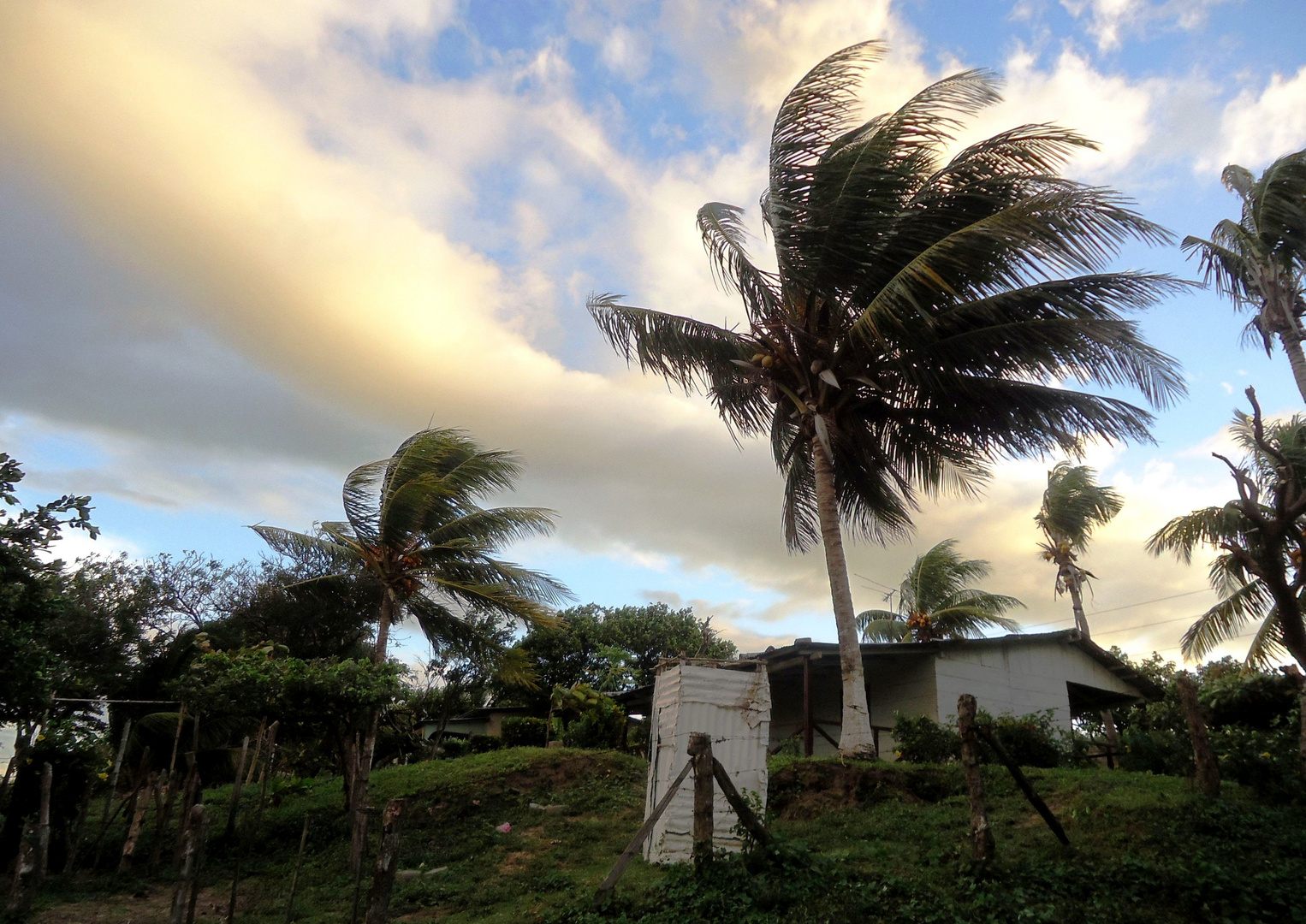 Kräftig bläst der Wind