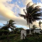 Kräftig bläst der Wind