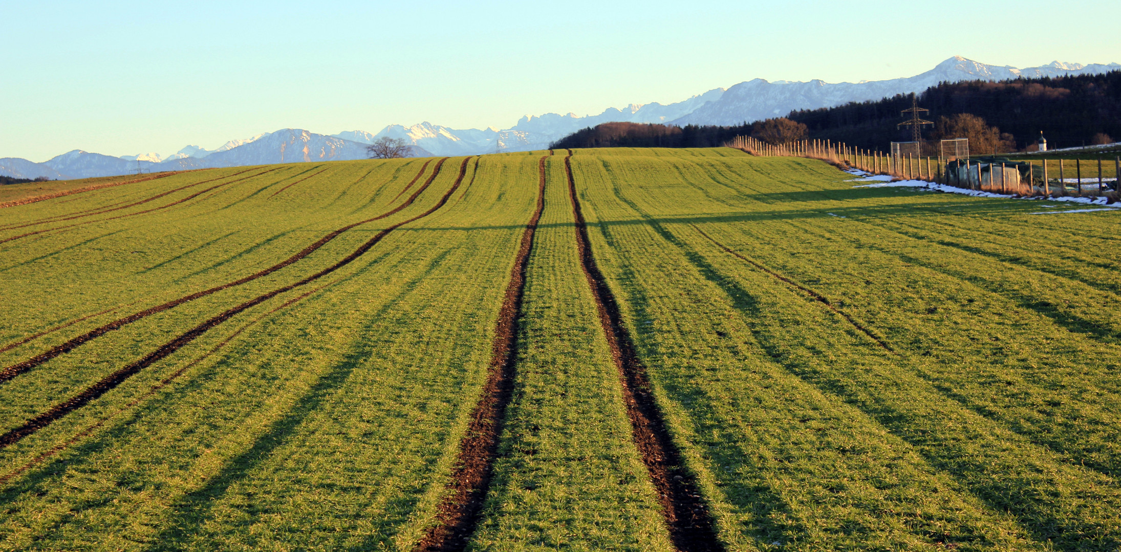 Kräftig Grün im Febraur