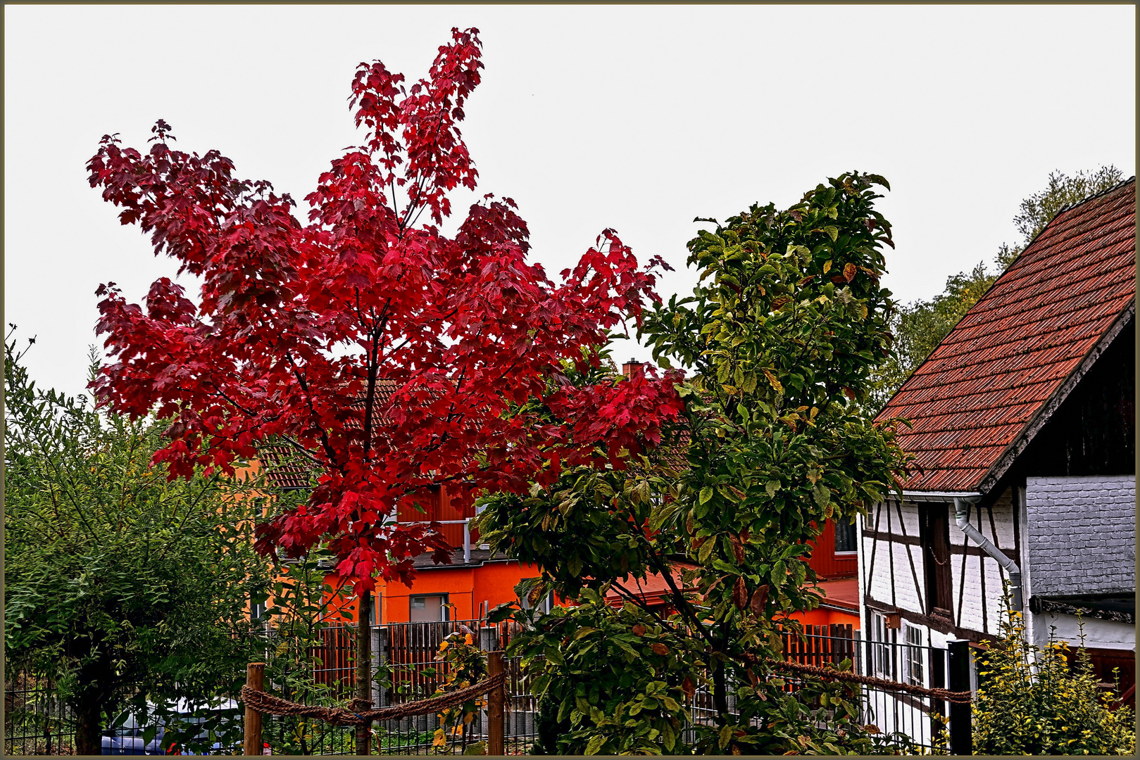 Kräftige Herbstfarben